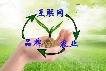 “互联网+农业+品牌”等于什么？