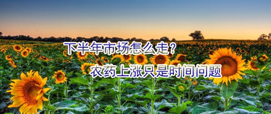 下半年市场怎么走？农药上涨只是时间问题