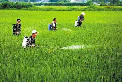 农资市场鱼龙混杂，抗性真的有宣传的那么严重吗？