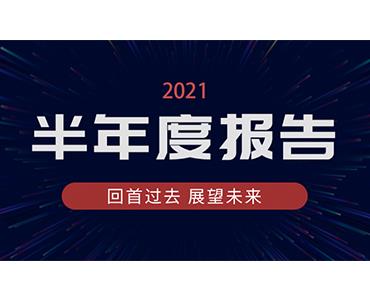 ug环球药业集团2021年半年度报告